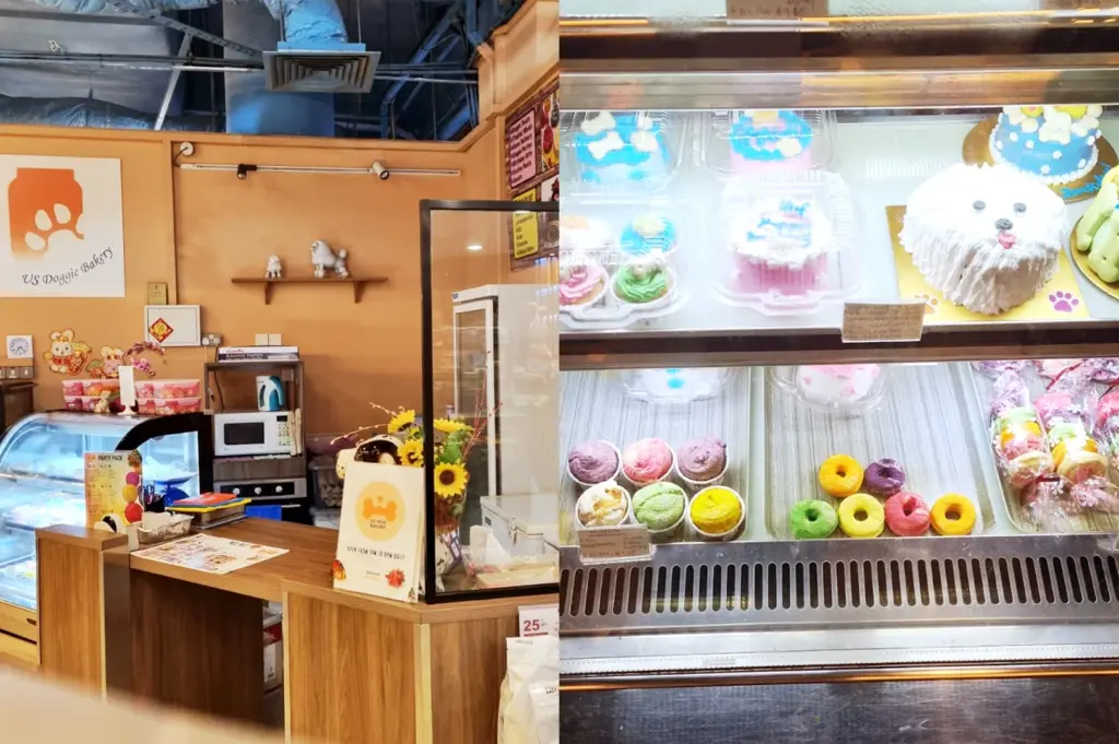 Front counter and vibrant display case at US Dog Bakery SG, showcasing a variety of colorful, freshly baked treats for dogs.