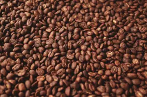 Light roasted coffee beans displayed in a close-up view, showcasing their rich brown color and texture.