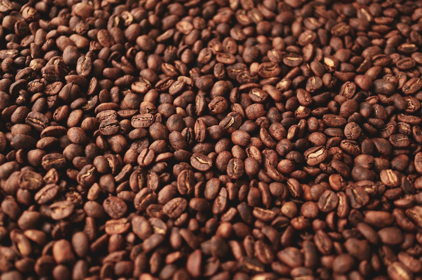 Light roasted coffee beans displayed in a close-up view, showcasing their rich brown color and texture.