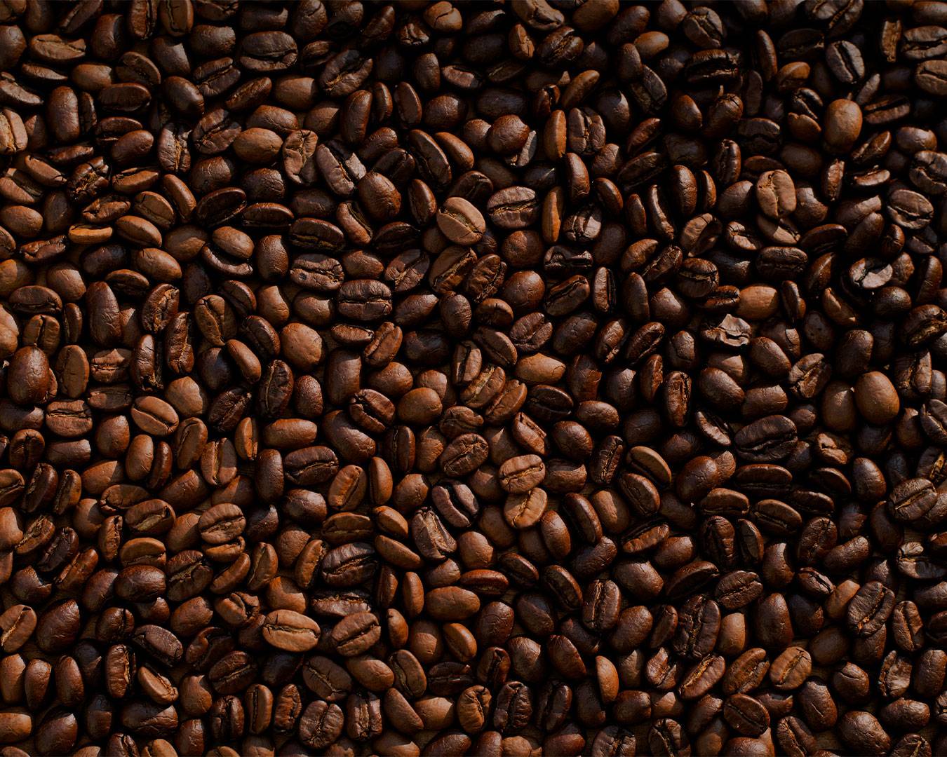 Close-up of fresh, dark roasted coffee beans, showing their rich texture and glossy surface, ready to be ground for brewing.