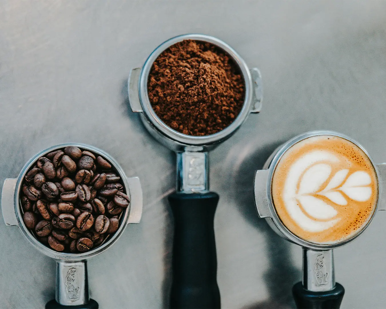 A close-up of whole coffee beans arranged beside freshly ground coffee powder, highlighting the contrast between the rich brown beans and the fine texture of the ground coffee used for brewing.