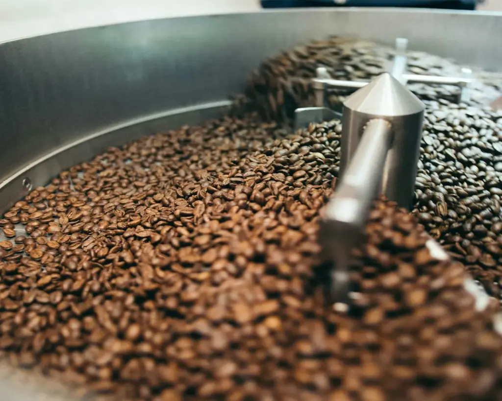 Freshly roasted coffee beans showing their deep brown colour and slightly oily surface that develops during the roasting process.
