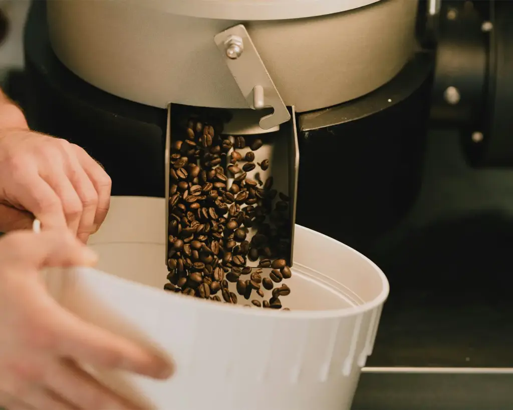 Freshly roasted coffee beans with a deep, glossy finish, emitting a sense of warmth and aroma, capturing the stage where flavour and character are fully developed.