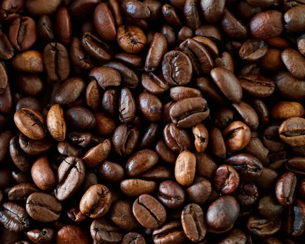 A close-up view of roasted coffee beans spread across a surface, highlighting their rich brown colour, natural oils, and textured appearance.