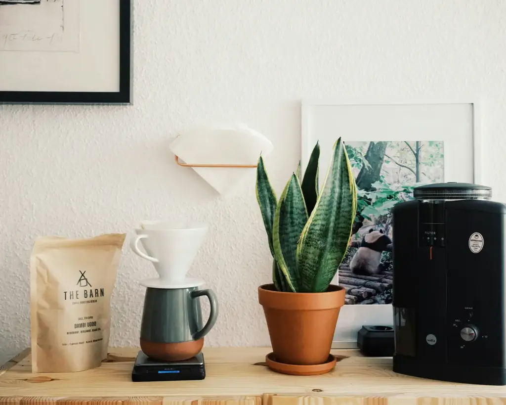 A home coffee roasting machine designed for small-batch roasting, allowing coffee enthusiasts to roast green beans and control the flavour profile at home.