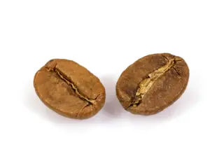 Two unroasted coffee beans on a white background, showcasing their light brown color and textured surface, evoking a sense of freshness and natural origin.