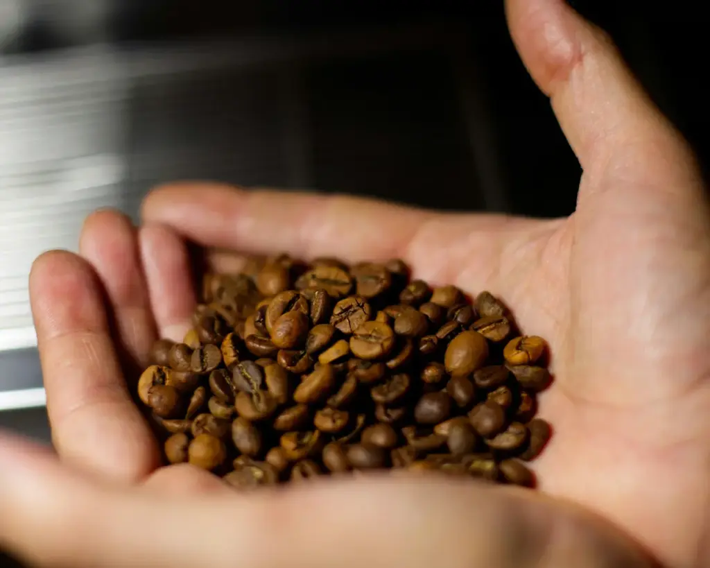 Close-up of hands gently holding a pile of roasted coffee beans against a blurred background.