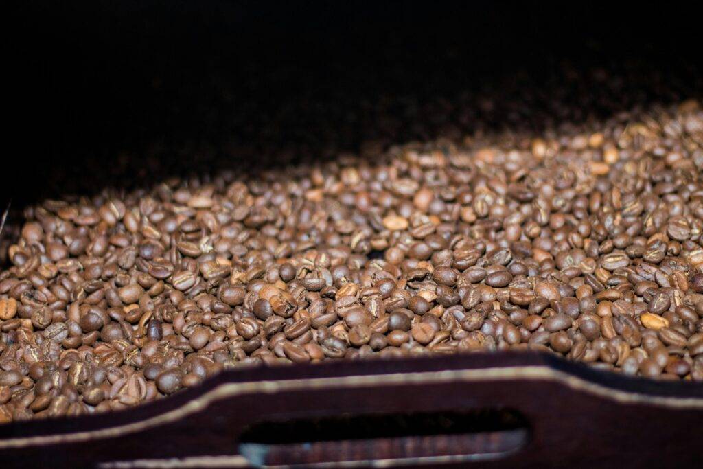 A vast collection of roasted coffee beans fills a dark wooden tray, showcasing a variety of rich brown tones. Soft light highlights the smooth texture of the beans in the foreground while the rest of the tray recedes into deep shadow.