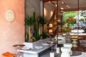 The stylish, minimalist storefront of The Coffee Code Singapore on Neil Road, featuring a modern concrete bench, cactus planters, and warm, inviting lighting.