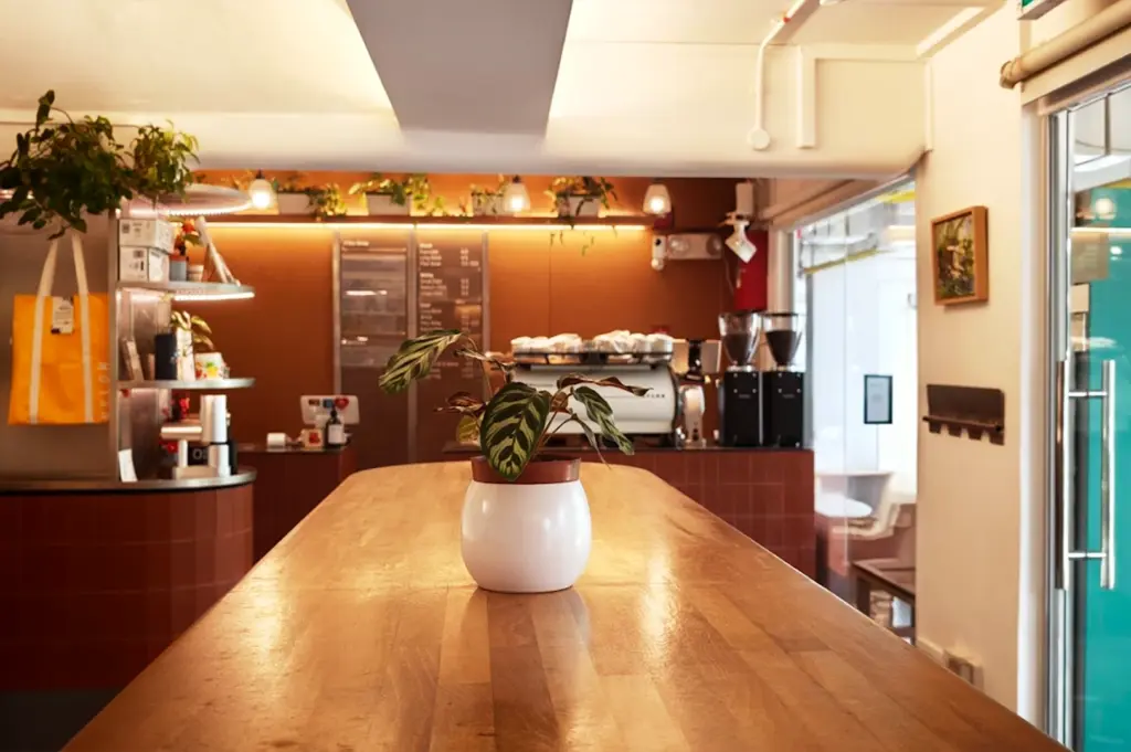An interior view of the minimalist, warm-toned space at Nylon Coffee Roasters, highlighting a long wooden communal table and fresh greenery inside the Everton Park cafe.