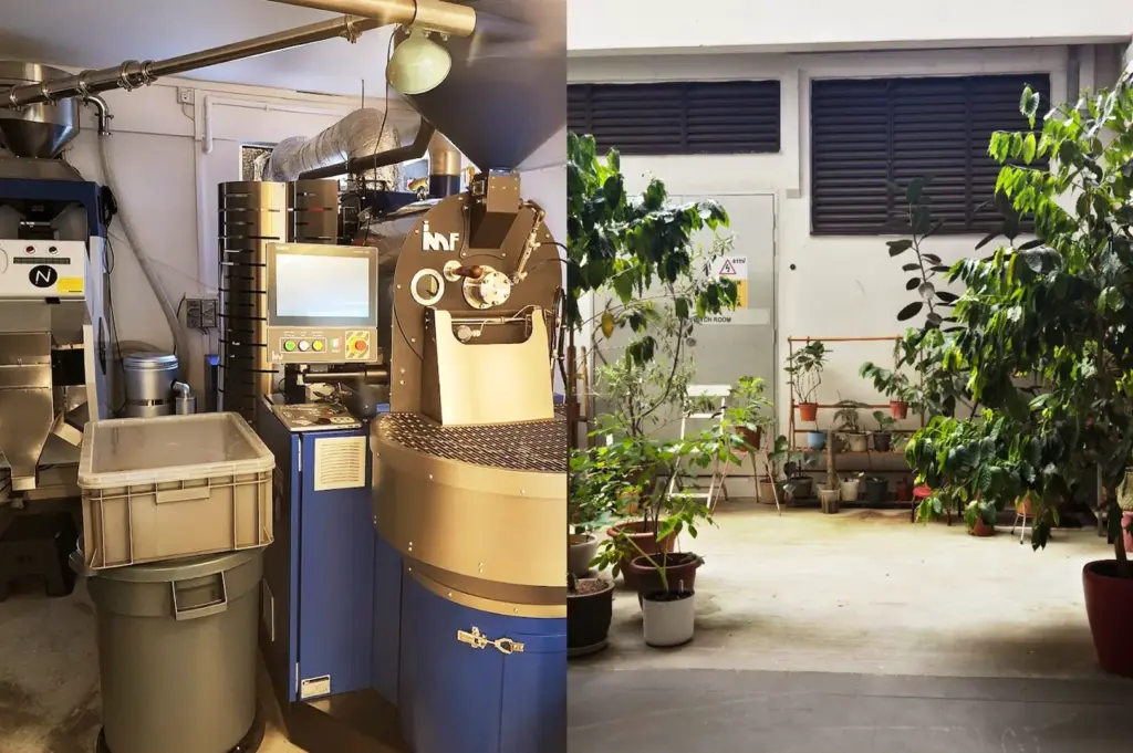 A view of the industrial-style coffee roasting machinery and a lush outdoor plant area at the Nylon Coffee Roasters cafe in Everton Park, Singapore.