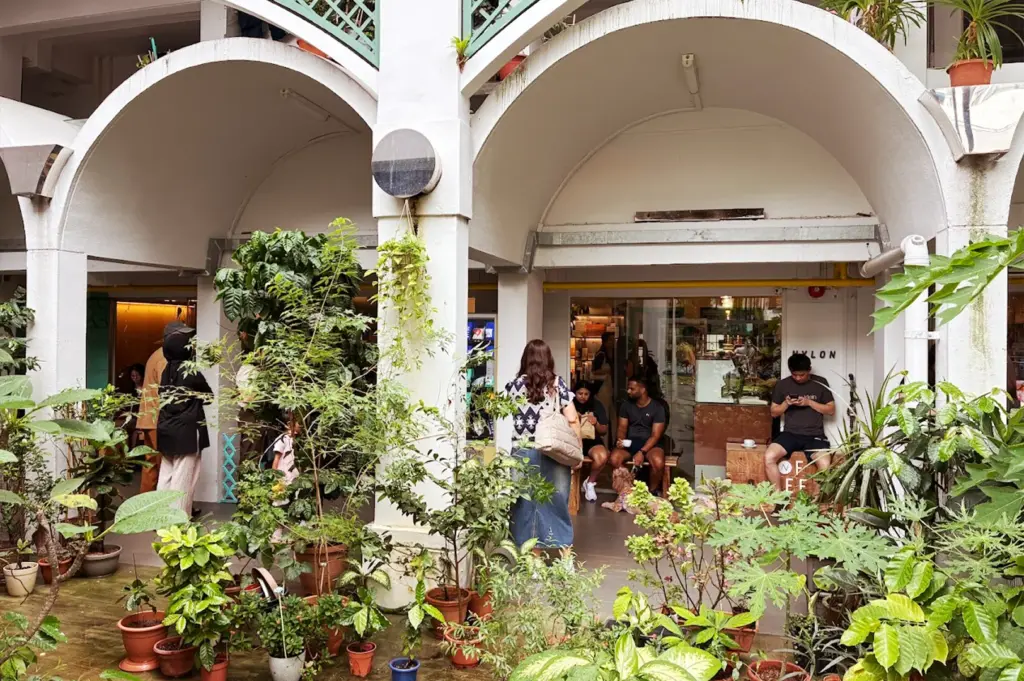 Customers sitting on a bench outside the Nylon Coffee Roasters storefront in Everton Park, highlighting the natural life, surrounded by a peaceful, plant-filled courtyard area.