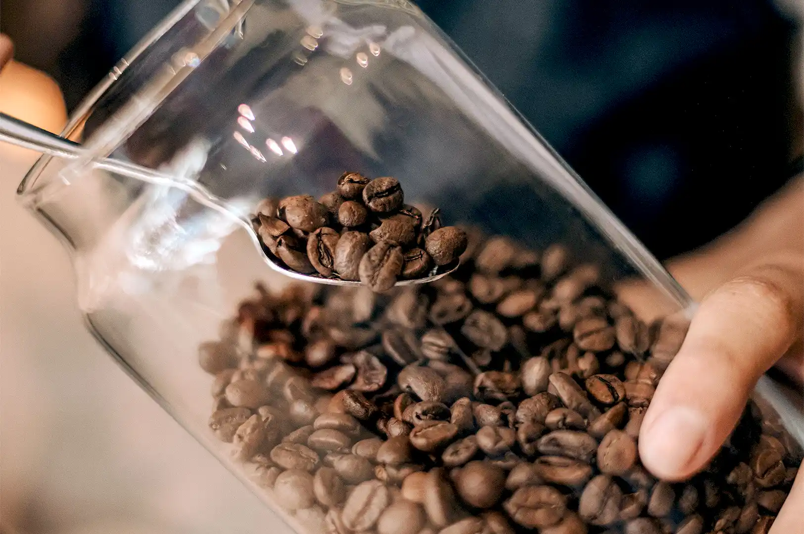 A close-up of premium coffee beans being scooped from a glass jar, illustrating the quality selection process for decaf coffee in Singapore.