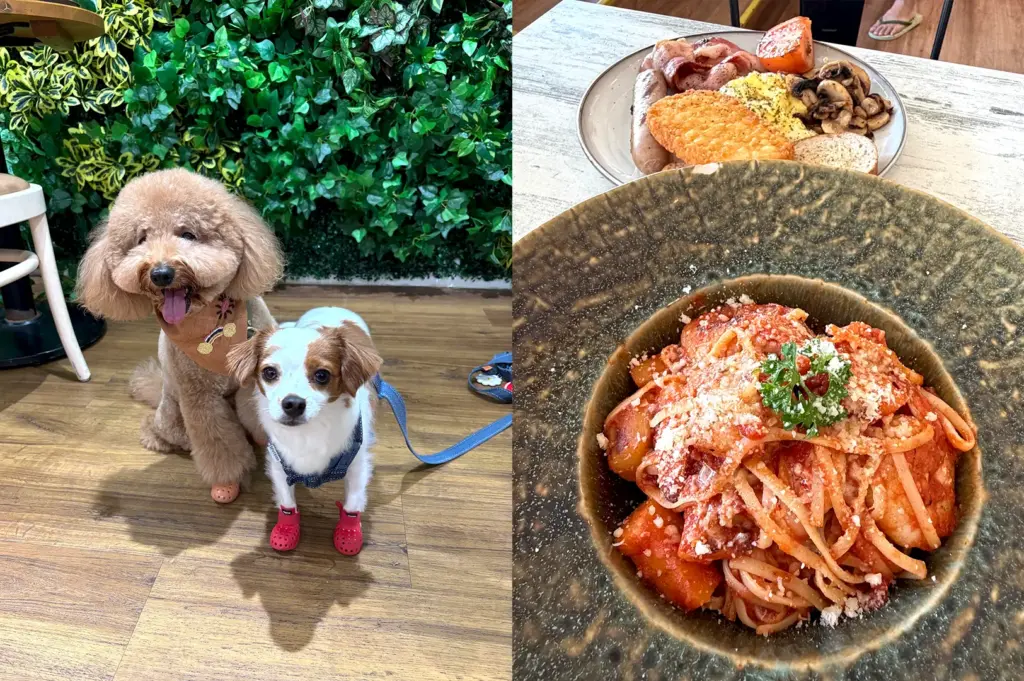 A delicious spread of classic brunch food, including eggs, bacon, and pasta, served at The Garden Slug, a popular pet-friendly establishment in Singapore.
