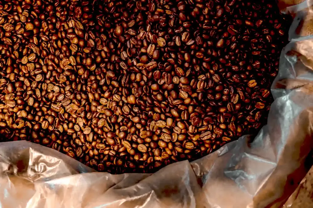 A large bag filled with roasted coffee beans, ready for distribution to Singapore cafes serving decaf coffee options.