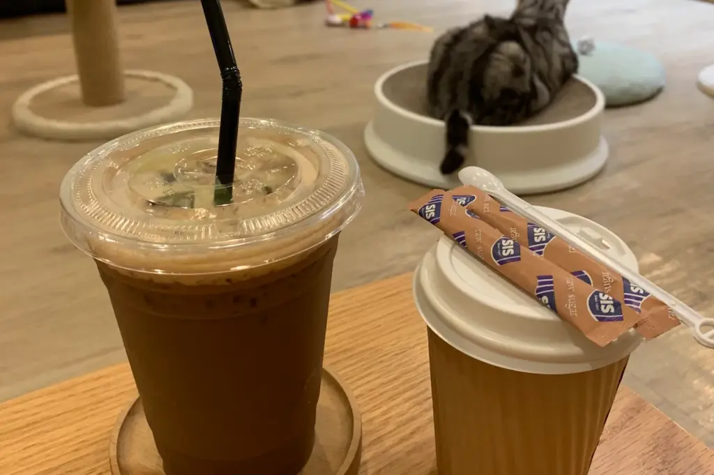 Iced and hot coffee drinks served on a wooden table at Meomi Cat Cafe, with a cat resting in a white circular bed in the background.