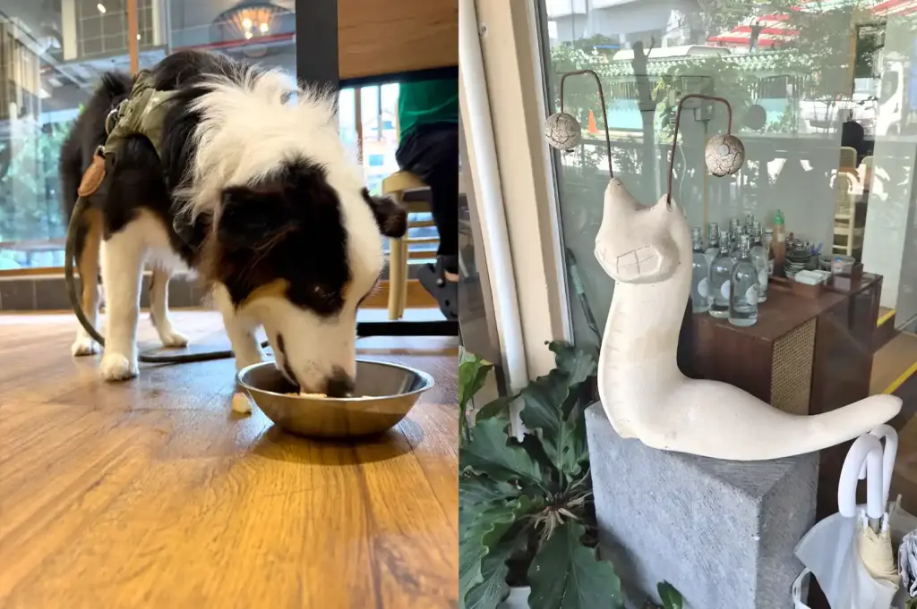 Split-view image showcasing a dog eating from a metal bowl on a wooden floor on the left, and a ceramic slug sculpture near the cafe entrance on the right.