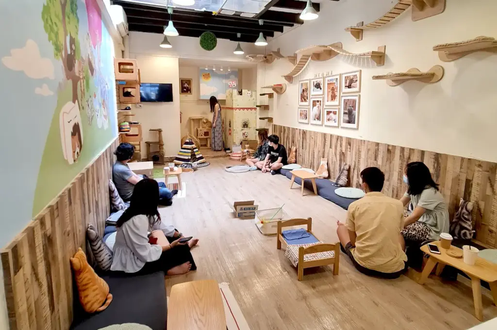 Visitors relaxing on the wooden floor and cushions inside the bright, cat-friendly environment of Meomi Cat Cafe with wall climbing shelves.